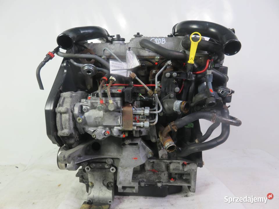 SILNIK FORD FOCUS MK1 I 18 TDDi C9DB KOMPLETNY osobowe
