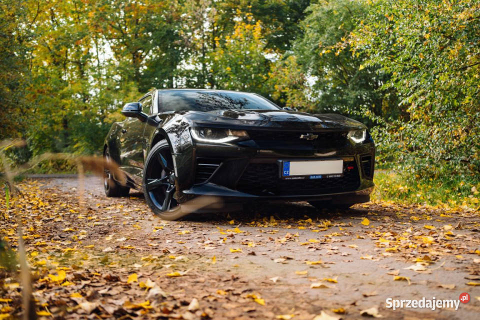 Chevrolet Camaro 62 V8 Samochody osobowe Piaseczno