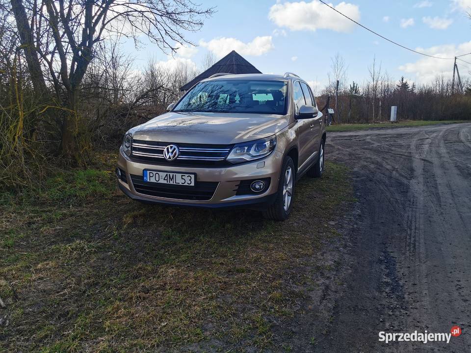 Vw Tiguan Motoryzacja Poznań