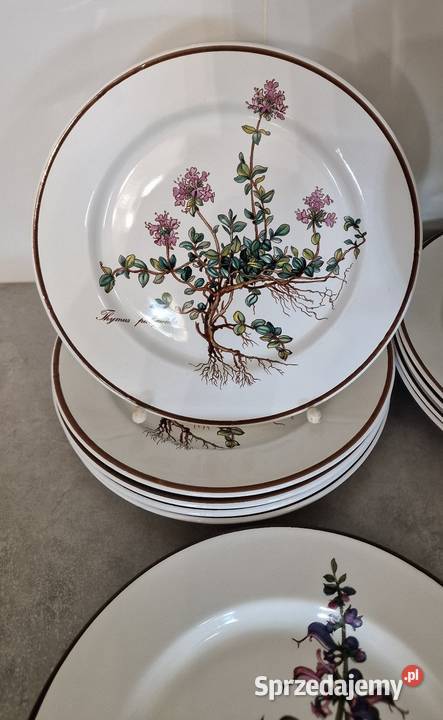VilleroyBoch Botanica serwis obiadowy 5 osób Nałęczów sprzedam