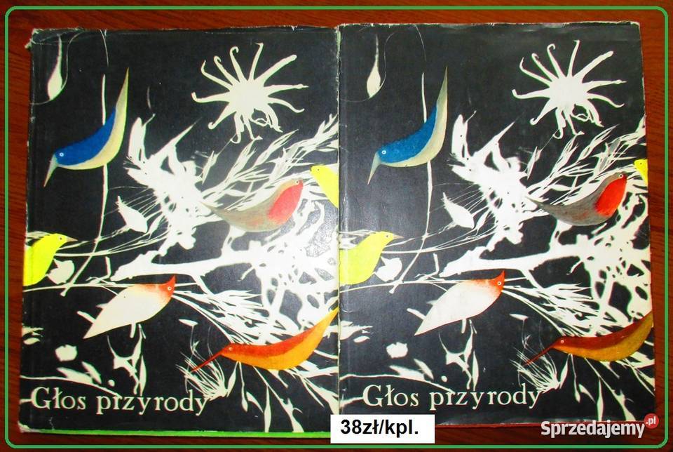 DZIEŁA ESzelburg Zarembina Bahdaj Osiecka Kern Łódź