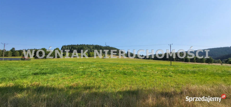 Do sprzedaży działka 3109m2 Grzędy Górne