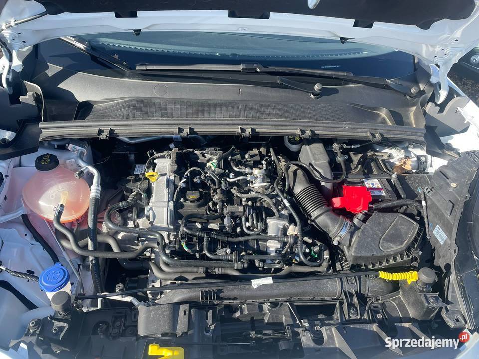FORD Puma 10i Flexifuel 125 GF237
