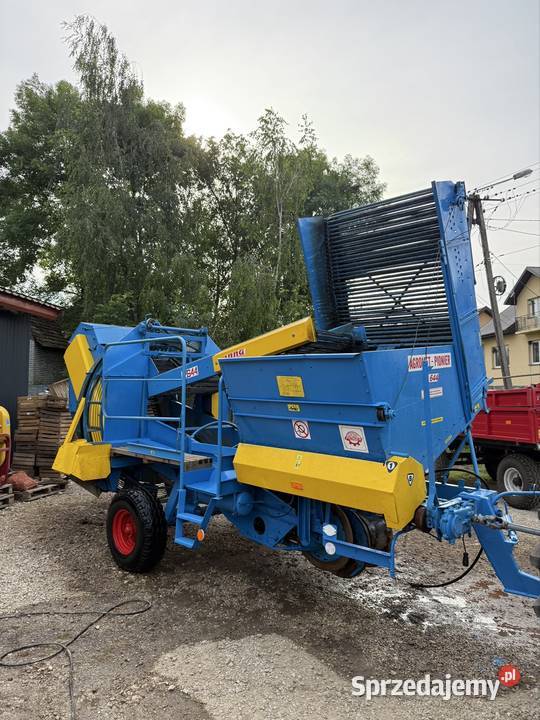 Kombajn do ziemniaków Anna Z644 świętokrzyskie Badrzychowice