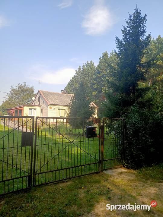 Sprzedam dom murowany plus budynki gospodarcze Liczba pokoi 4 Sarny