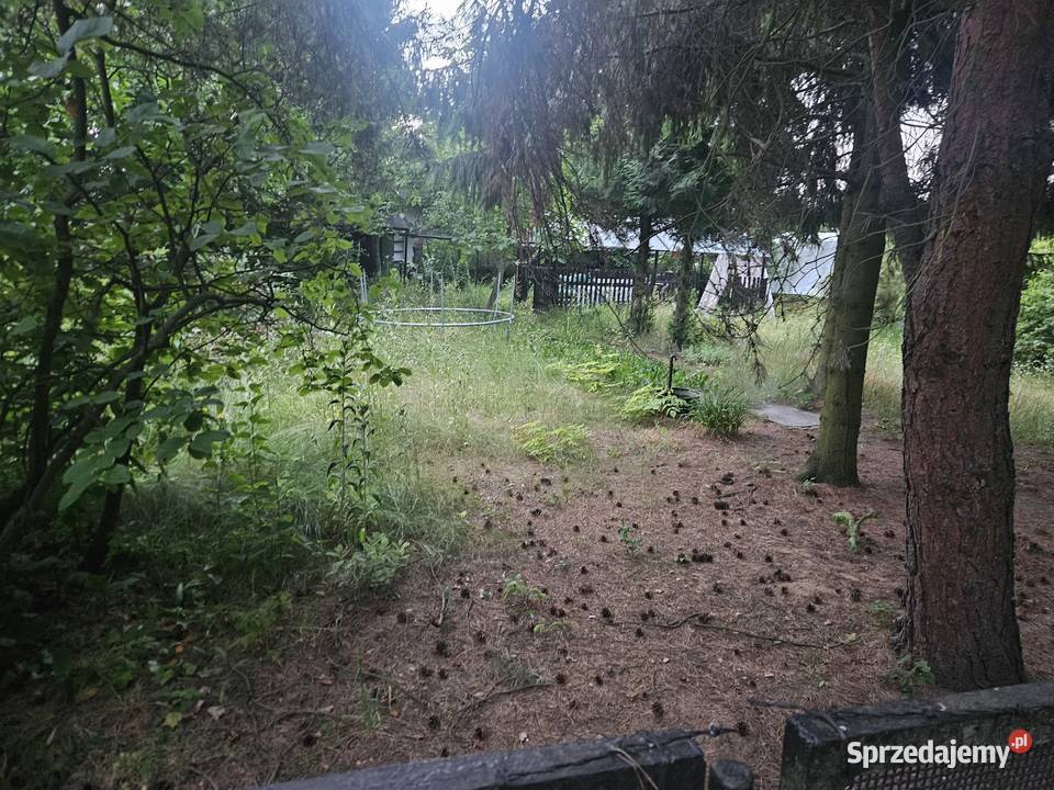 Działka Rod Ostra Górka Sosnowiec śląskie