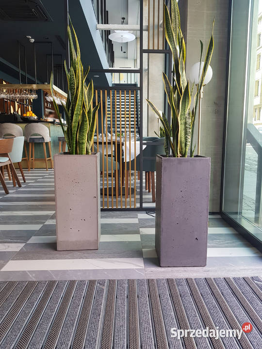 Donica Betonowa Tower 30X30X55 Donice betonowe dolnośląskie Wrocław