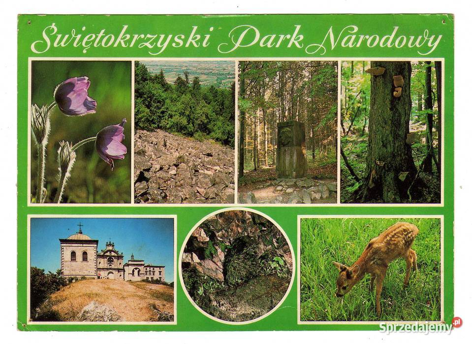 GÓRY ŚWIĘTOKRZYSKIE PARK DUŻA POCZTÓWKA świętokrzyskie sprzedam