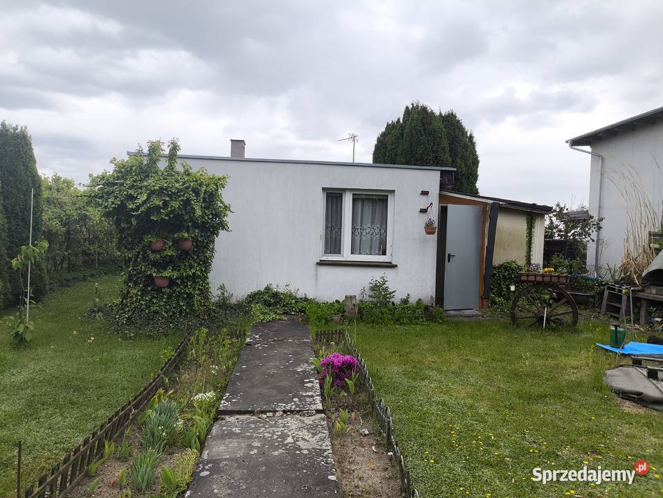 Sprzedam działkę ROD Szafirek wielkopolskie Poznań