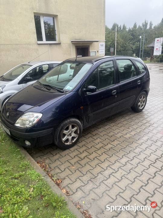 Scenic 16 benzyna Bieliny