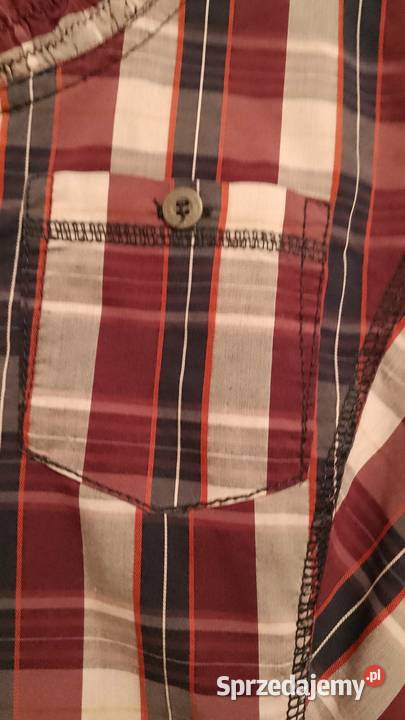 Bluzka damska marki Cecil Kratka Częstochowa