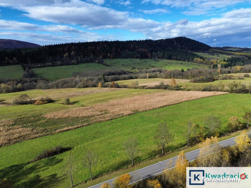 sprzedaży gruntu 587000m2 Daliowa podkarpackie