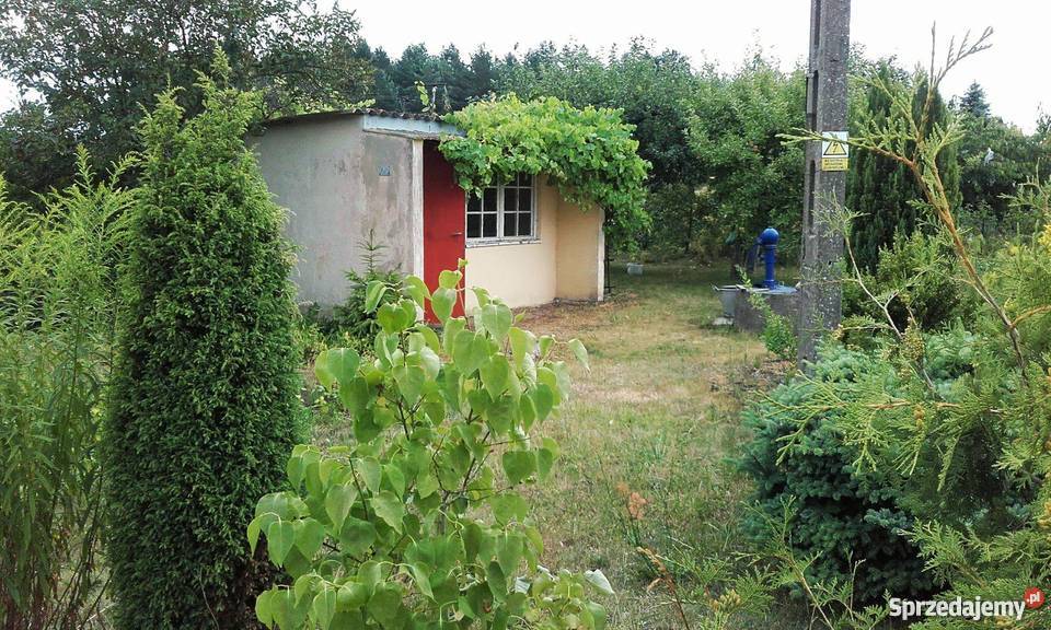 Sprzedam działkę ROD KRAJNA 380 m kw Sępólno Krajeńskie