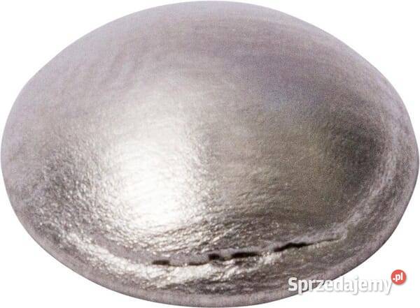 Zaślepka 920667009 Kamionna