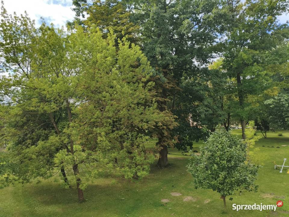 Mieszkanie Ksawerów 48m2 garaż komórka strych Piętro 1 Mieszkania Łódź