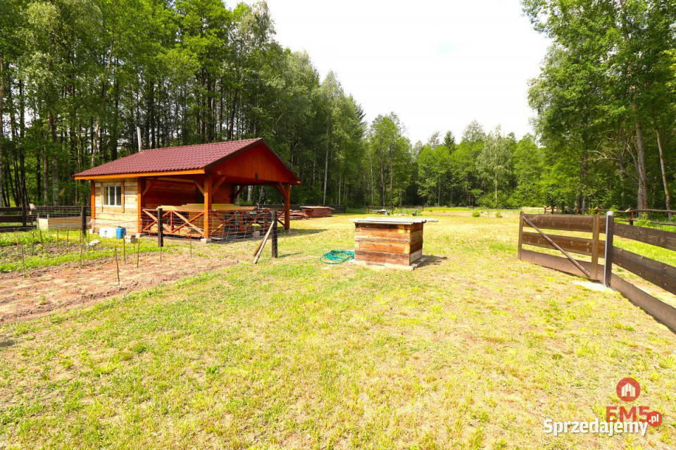 sprzedaży działki 2761m2 Płaska 2761m2