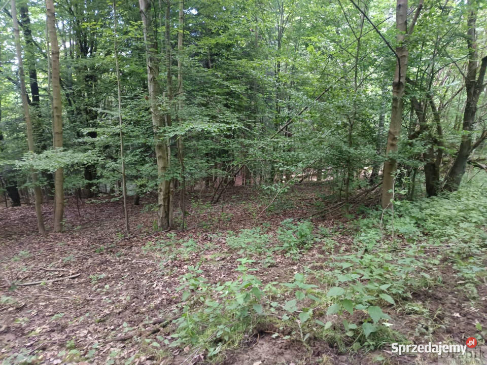 Działka Budzów 4545m2 Nieruchomości sprzedam