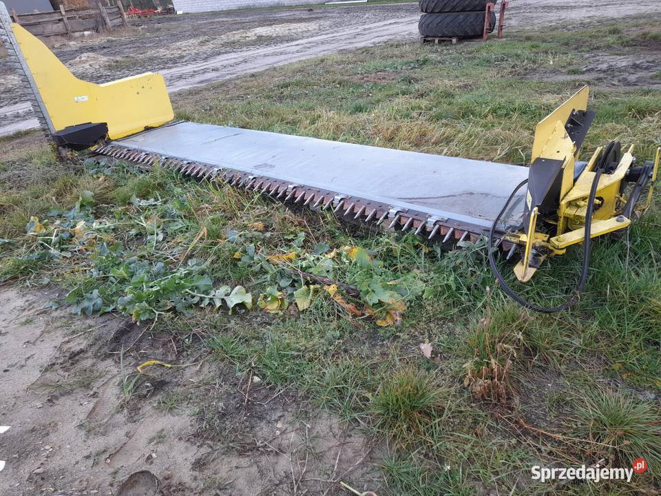 Stół do rzepaku świętokrzyskie Karsznice