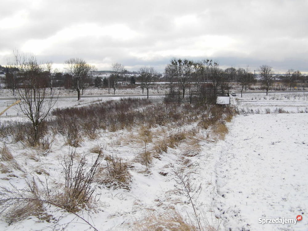 Działka budowlana Myślibórz Lipowa Myślibórz