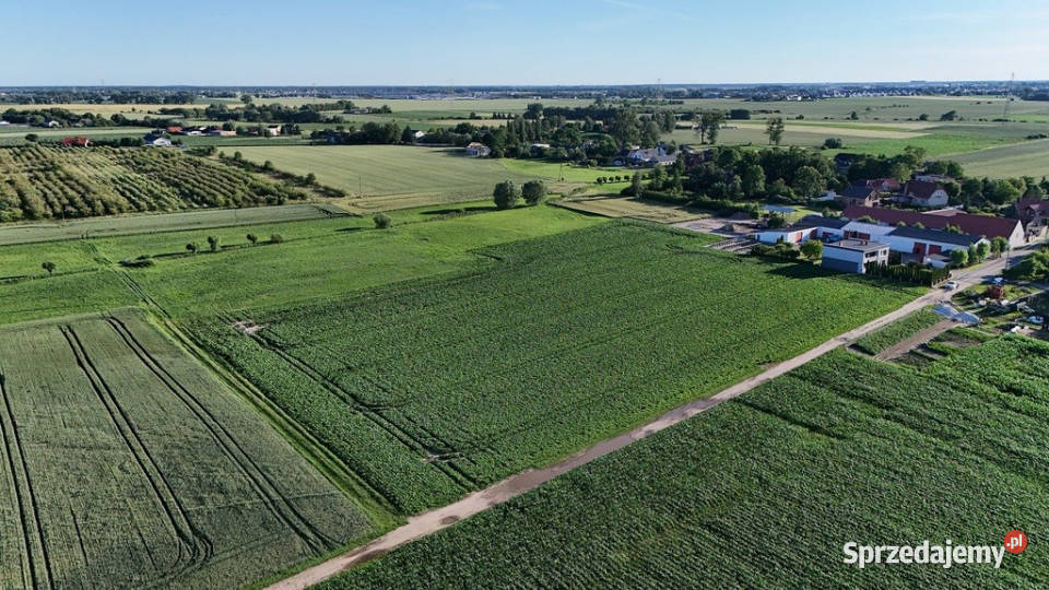 PROJEKT DEWELOPERSKI4 lokale KobylnikiRokietnica 5906m2 Rokietnica