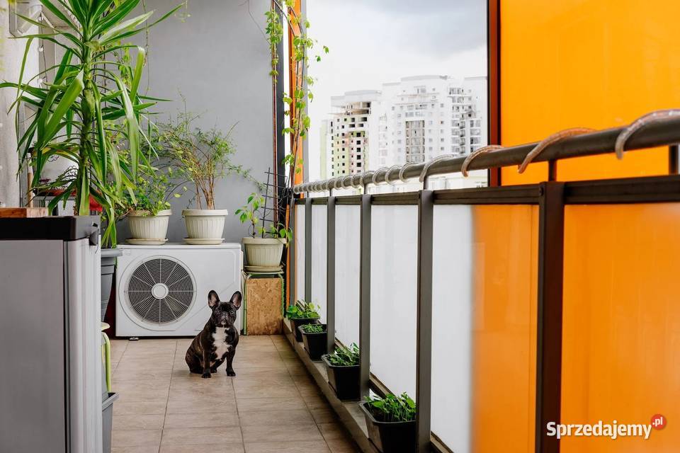 Dostawa i montaż klimatyzacji 2999 Częstochowa Klimatyzatory Dom i Ogród sprzedam