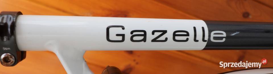 Rower damski Gazelle EclipseD 49 I inne rowery