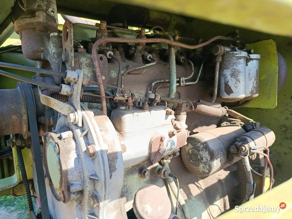 Class consul 3m Wola Wielka