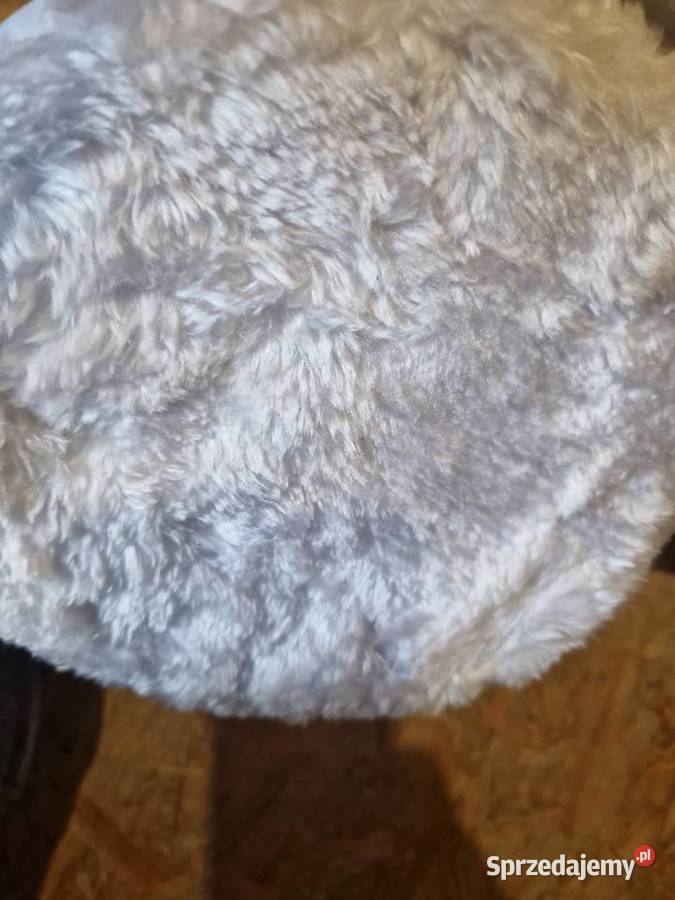 POLERKA SAMOCHODOWA Z REGULACJĄ 2450W 2x FUTERKO wielkopolskie Głogowa sprzedam