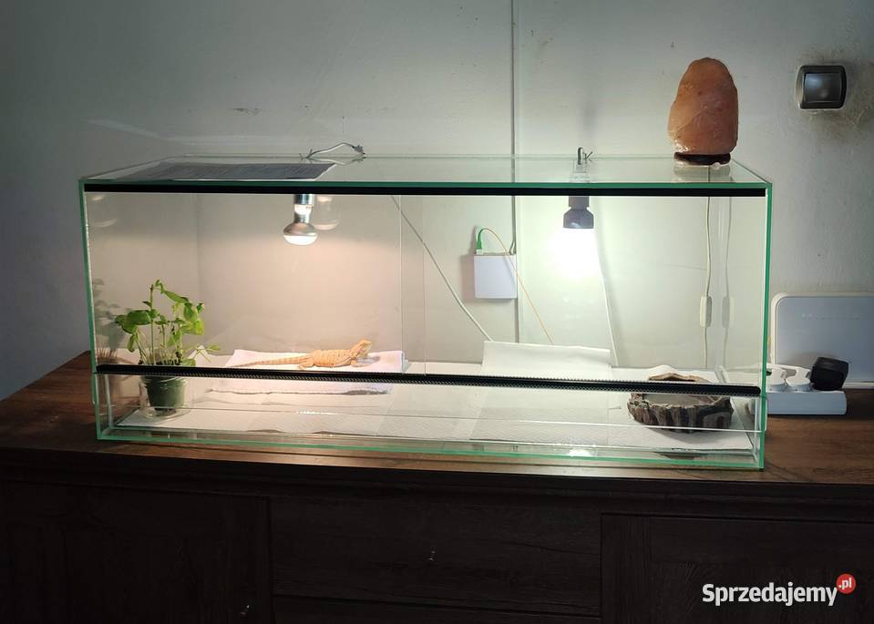 Terarium z oświetleniem matą grzewczą i Zabrze