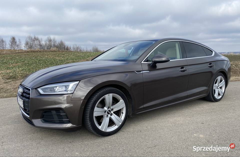 Audi A5 Sportback 20 TDI 2018 r centralny zamek Kraśnik