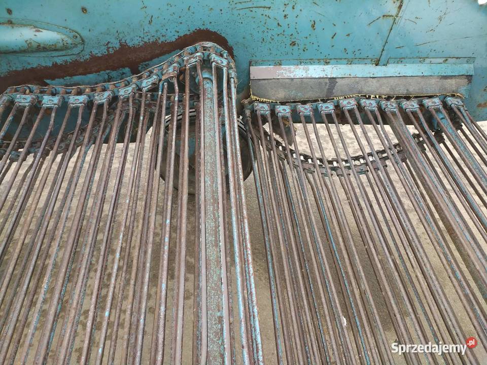 Kopaczka do ziemniaków Elewatorowa 2rzędowa małopolskie Dąbrowa Tarnowska