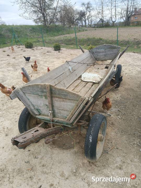Sprzedam wozy konne 2 Pozostałe