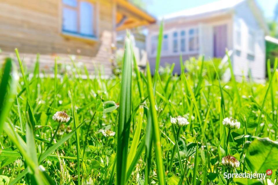 ODPORNA Trawa z mikrokoniczyną VIVUM mieszanka 5 mazowieckie Cieśle
