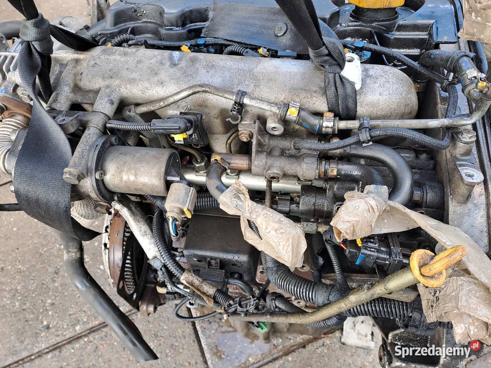 Alfa Romeo 147 19 JTD silnik kompletny kod Rok produkcji 2002 Jastrzębie-Zdrój
