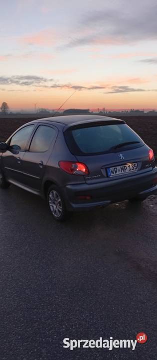 Sprzedam Peugeot 206klima 206 plus Młynary sprzedam