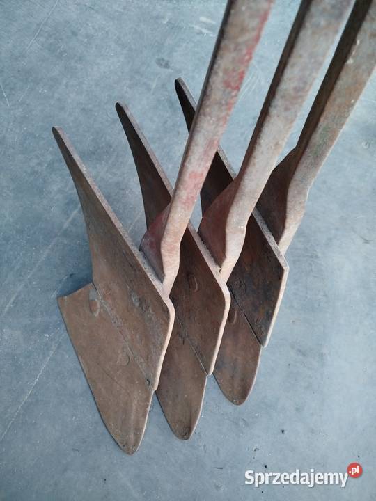 Przedpłużki pługa zagonowego Polskiego Strzelno