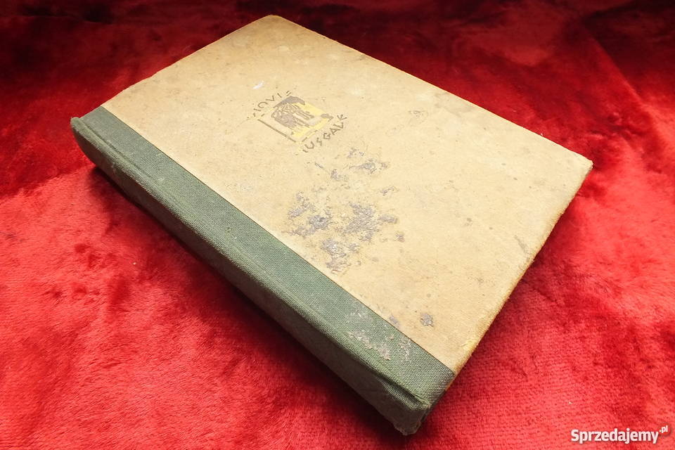 Stara niemiecka książka powieść z 1926 roku Żary