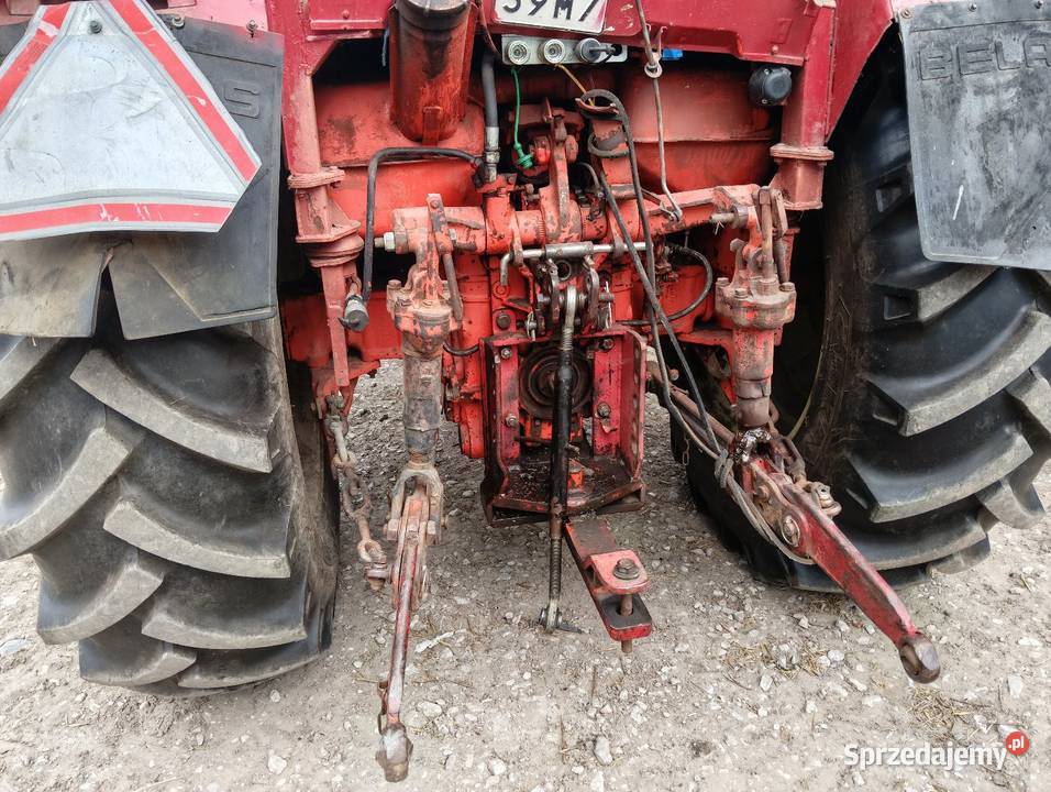 Mtz 82 belarus Opoczno