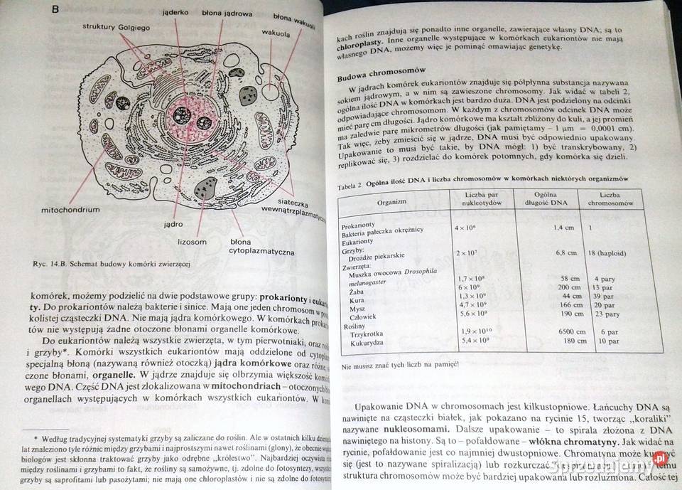 Biologia kl 3 i 4 Wacław Gajewski Aleksandra Chełm