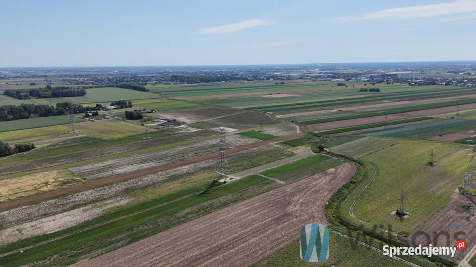 Sprzedaż działki Pogroszew Nowowiejska 23729m2 Sprzedaż mazowieckie