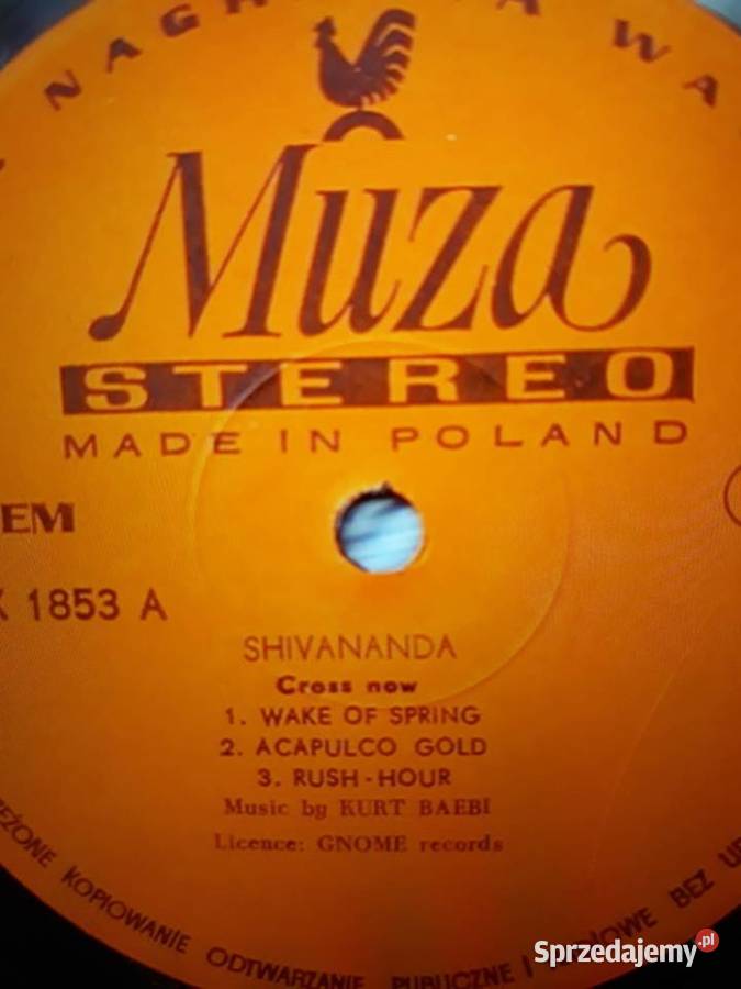 Archiwum szwajcarskiego jazz rocka SHIVANANDA Płyty i kasety Rzeszów sprzedam