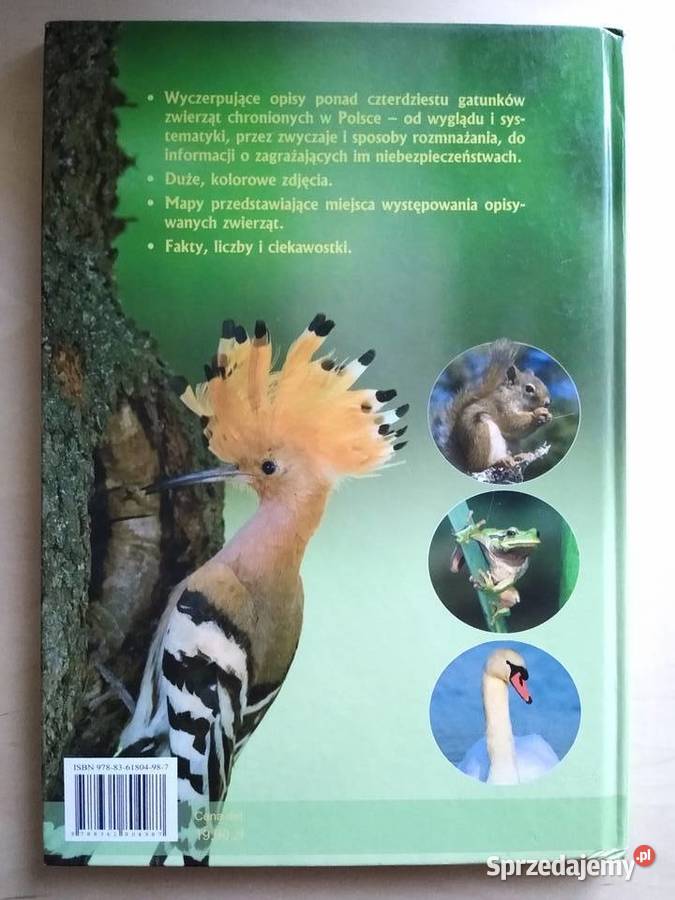 Zwierzęta Chronione W Polsce Gdańsk sprzedam