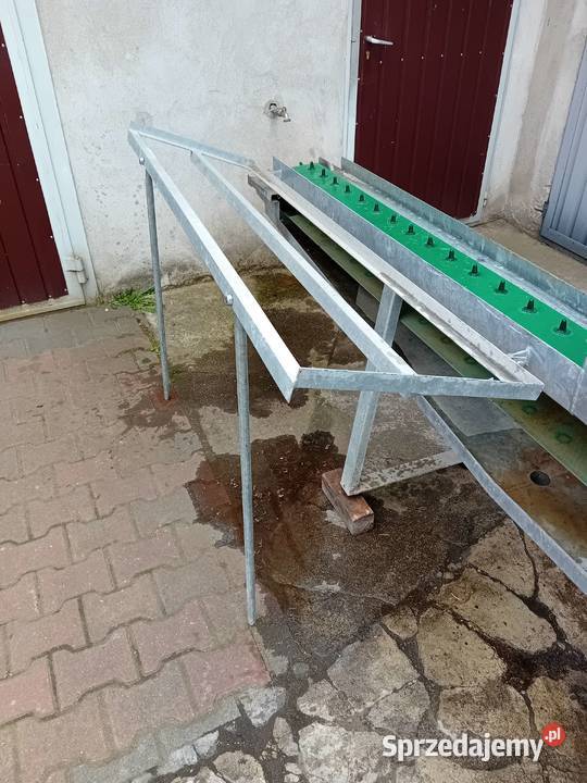 Sortownica maszyna do sortowania szparagów i lubuskie Kargowa