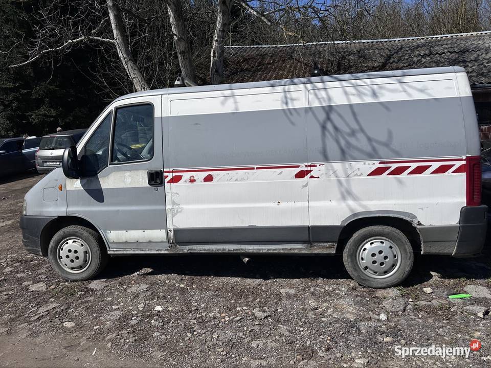 Fiat Ducato 22 jtd 2004 hak nieuszkodzony podkarpackie Jarosław