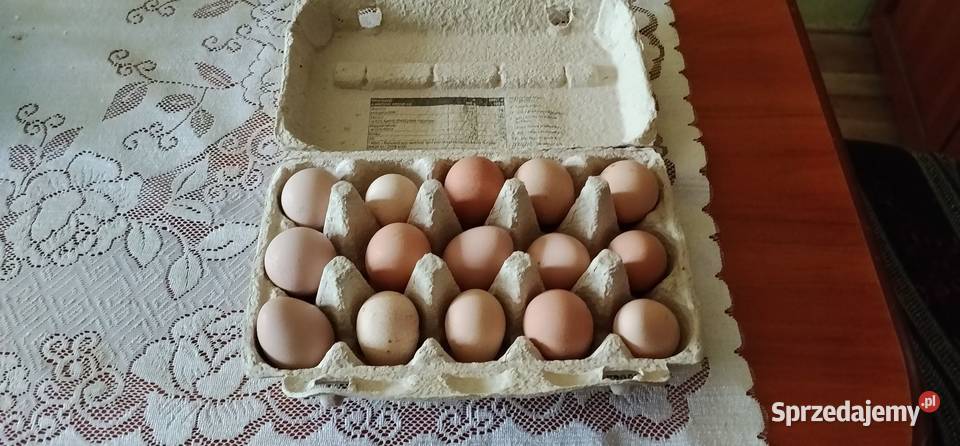 Jaja lęgowe perliczek