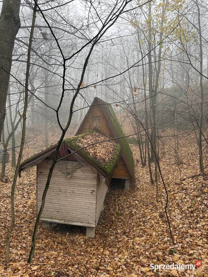 Na sprzedaż wyjątkowa działka 194 ha z domkiem Sprzedaż Stoszowice