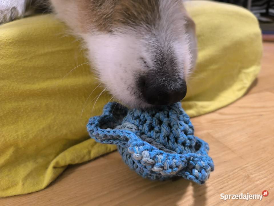 Piłka kwiatek zabawka psa gryzak Parzniew