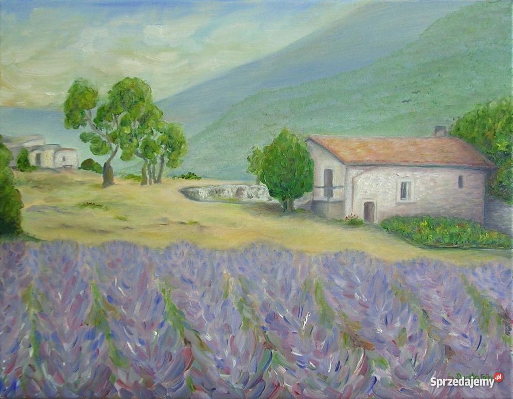 Obrazy olejne Lawenda Grodzisk Mazowiecki