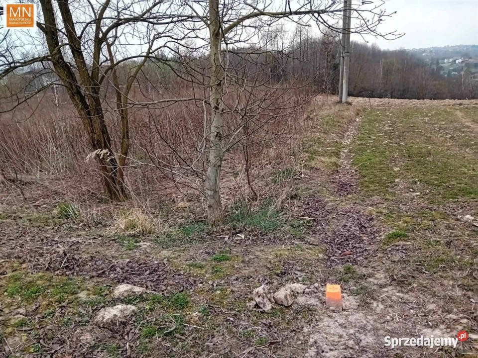 Grunt na sprzedaż 2560m2 Wysiołek Luborzycki budowlana małopolskie