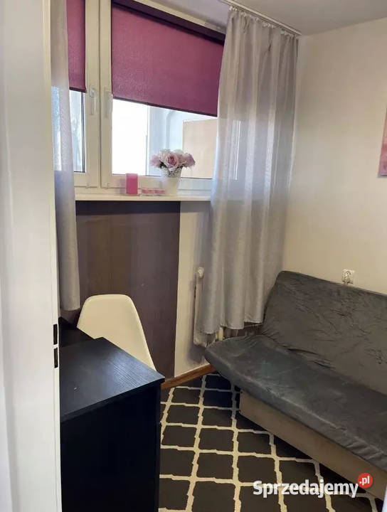 2 pokoje Olivia Business Centrezwierzęta mile Gdańsk
